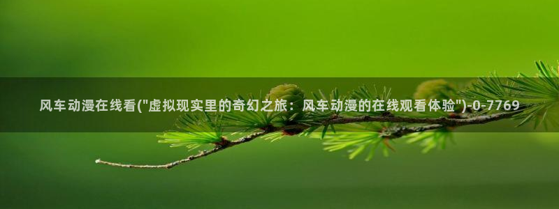 耽美动漫：风车动漫在线看(\
