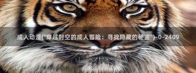奇奇动漫网