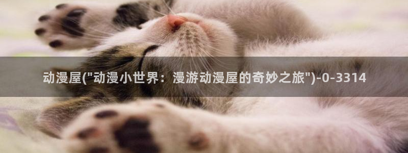 h动漫
