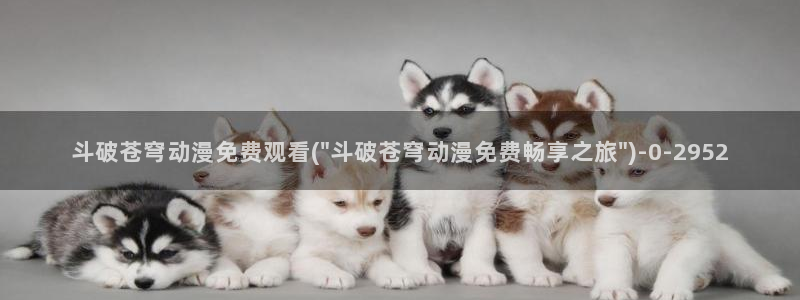 里番动漫在线