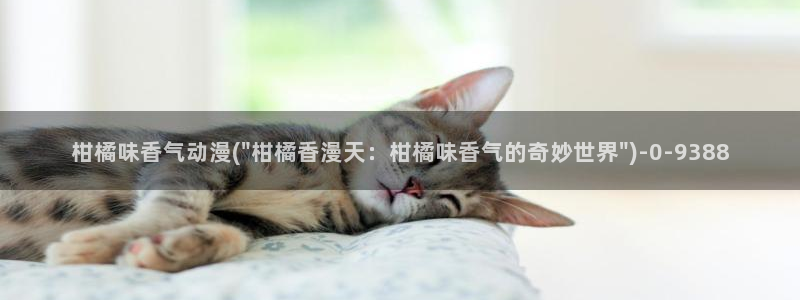 acg动漫