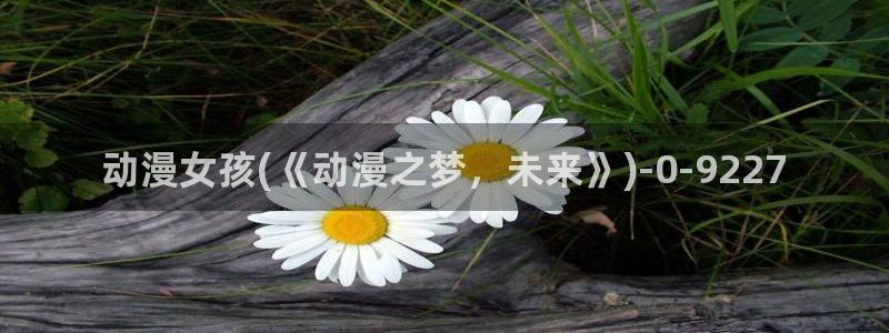 第一动漫