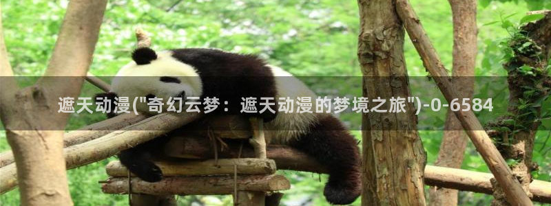 卡卡动漫
