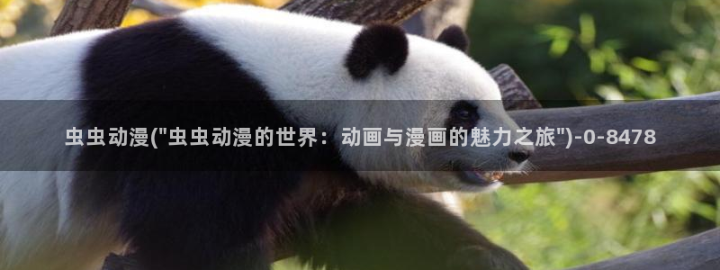 爱动漫网